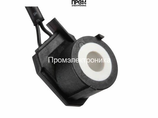 Электромагнитная катушка Riello 3007481