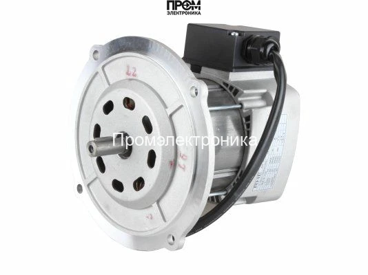 Электродвигатель Riello RH S 110 20043440