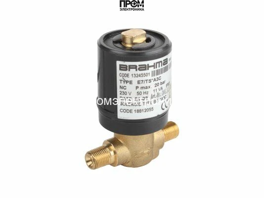 Жидкотопливный электромагнитный клапан Brahma E7/TS*A3C 13245501