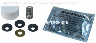 R43176755005 рем комплект уплотнений Honeywell