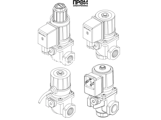Газовый электромагнитный клапан Brahma EG12*LP*GMO5