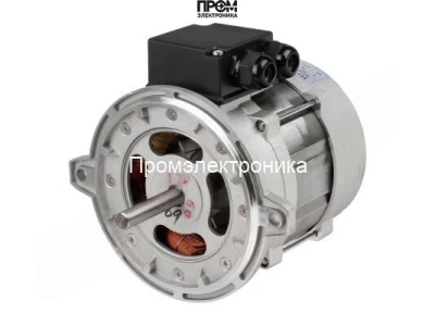 Электродвигатель Riello RH 135, 3006612