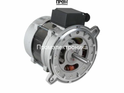 Электродвигатель Riello 3006716