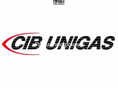 Голова сгорания CIB Unigas, 3060161