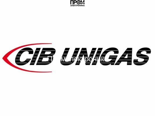 Голова сгорания CIB Unigas, 3060161