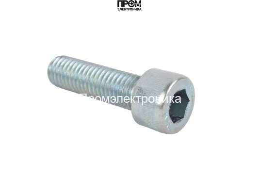 Винт Weishaupt M10 X 40, 402630