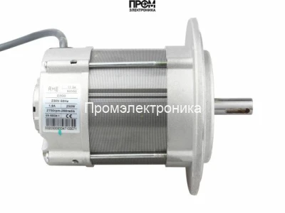 Электродвигатель Riello 250 Вт (605SE)