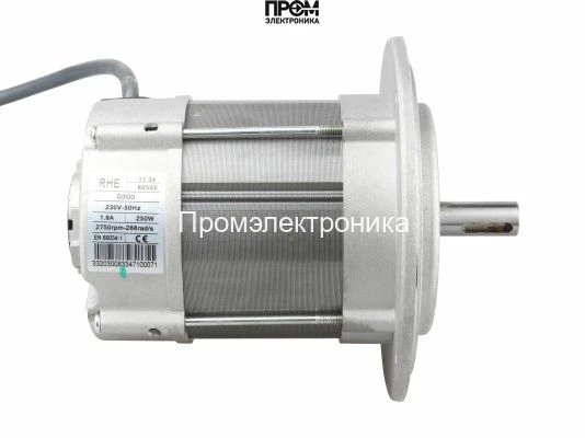 Электродвигатель Riello 250 Вт (605SE)