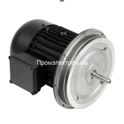 Электродвигатель Weishaupt W-D112/170-2/7K0