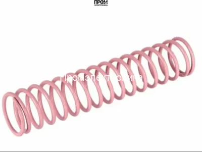 Пружина Weishaupt DN 50 / Rp 2", 490044