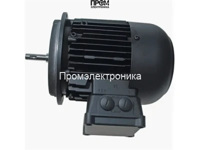 Электродвигатель Weishaupt WM-D132/210-2/10K0