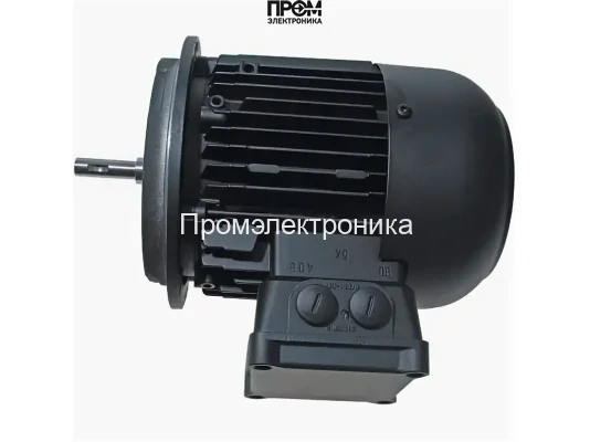 Электродвигатель Weishaupt WM-D132/210-2/10K0