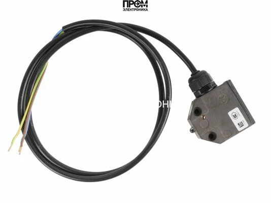 Концевой выключатель Weishaupt, 11179404032