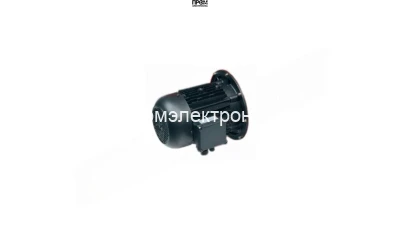 Электродвигатель Weishaupt, 21841507040