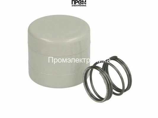 Сальник насоса Riello R.B.L.