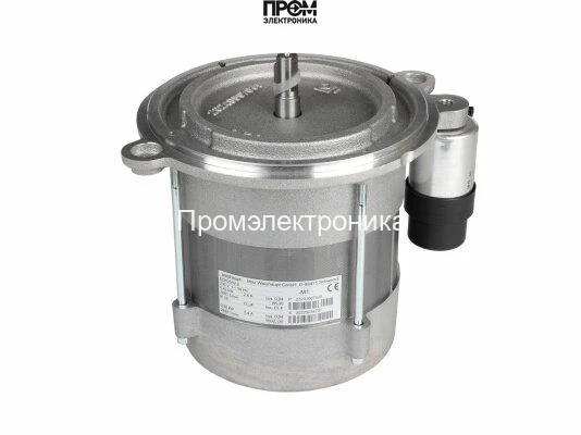 Электродвигатель Weishaupt ECK05/W-2