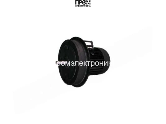 Электродвигатель Weishaupt, 21871507010