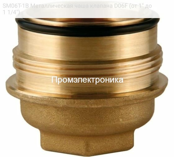 SM06T-1B Металлическая чаша клапана D06F (от 1" до 1 1/4")